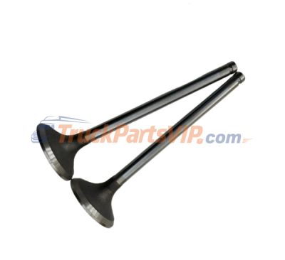Exhaust Valve, Intake Valve, C3921444, C3924492, Cummins Engine