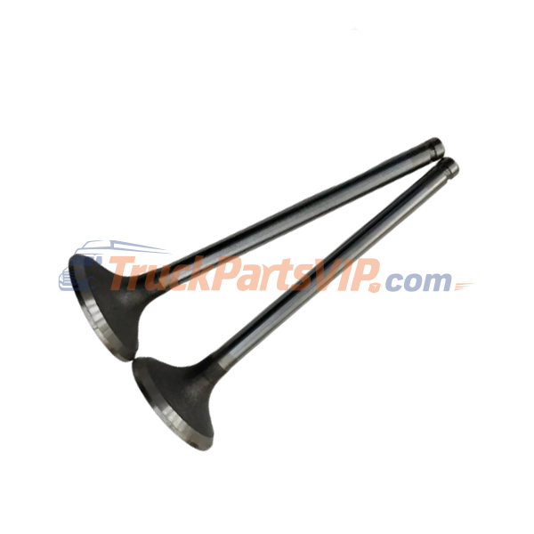 Exhaust Valve, Intake Valve, C3921444, C3924492, Cummins Engine