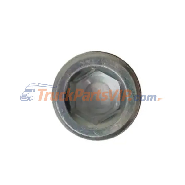 Pipe Plug, 3008469, 3008466, 3013786, 3008467, 3031508, 5528109, 3055069, 3678924, 3906619, 3008464, 3008465, 3008468, 4992508, 3820320, 3282266, 3680534, Cummins Engine