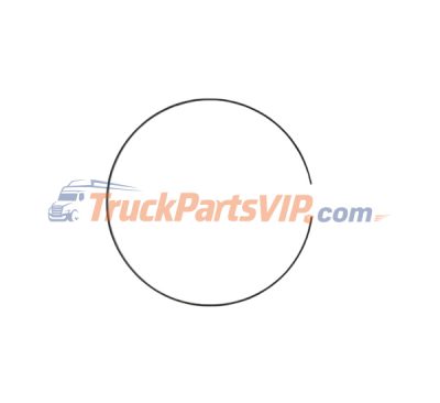 Locking Wire, Elastic Ring, 0730.513.583, 0730513583, 0730.509.281, 0730509281, 0730.513.522, 0730.513.525, 0630.502.043, 0630502211, 12JS160T-1701121, 16JS200T-1701121, 16JS200T-1707031, JS130T-1701121, F91012, F96114, 81.90515-0158, 81905150158, 2991652, 1341154, 95531487