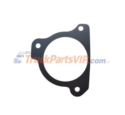 Engine Thermostat Housing Gasket, C3101054