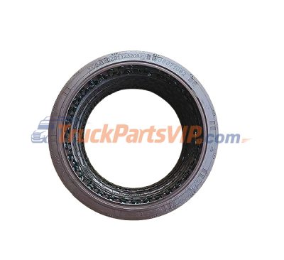 Truck F3000 Main Reducer Oil Seal, Differential Input Shaft Oil Seal, DZ9112320920, DZ9112320001, 81.35100.6513, 06.56289.0361, DZ9112340060, DZ9112340061, 81.35607.6033, DZ9114320706