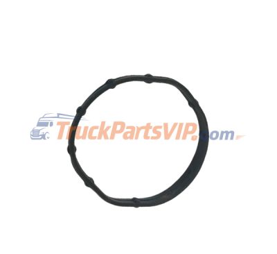 Water Pump Seal, 4974918, 4309425, 2882145, 4376360, 3800843, 3008400, 3803697, 3096079, 3024381, 206455, 3906698, 3921961, 3802263, 3944292, 3913994, 3284623, 5262908, 5264412