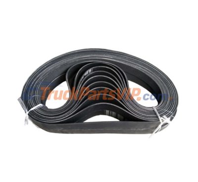 V-Ribbed Fan Belt, Alternator Belt, VG1246060088, VG1246060091, VG2600020253, VG1500090066, VG2600020251, 612600020251, 8PK1062, VG1069020010, 8PK1050, AZ1500090065, 61500060219, WG1500130017, 612600061375, 8PK1080, 1002225323, 8PK1414, 612600090646, 8PK782, 1000955353, 10PK1328, 612600100069, 610800060003, 612630060011, 612630060005, 21945707, 22308452, K080539HD