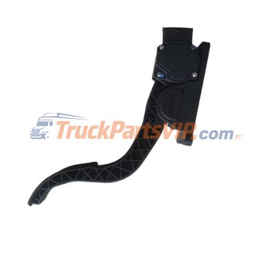 Electronic Accelerator Pedal, 0281002687, 110820029