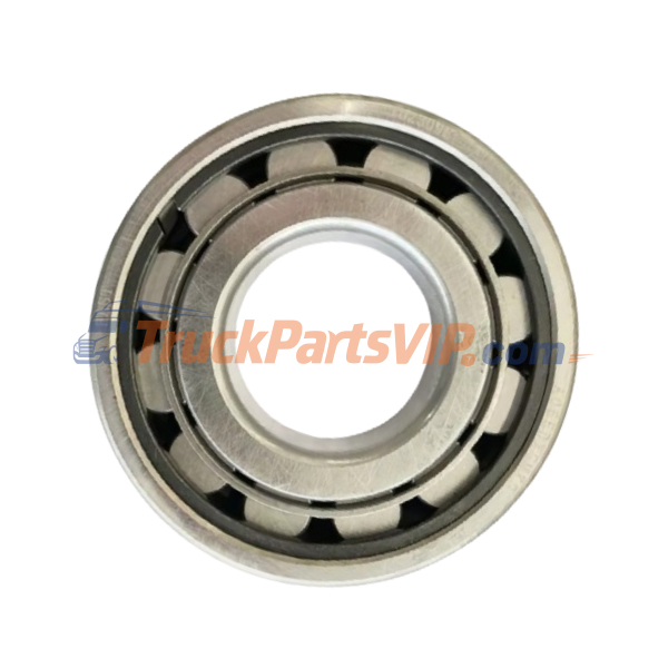 Roller Bearing, 102309E, NCL309E, AZ9003395320, AZ9003326020, AZ9003321820, AZ9003326218, NUP309EN, BL309N, 6213N, 102309E-NCL309E, WG9003326213, 99014320257, LM102949/10, 43225-3D100, DS100-1701085