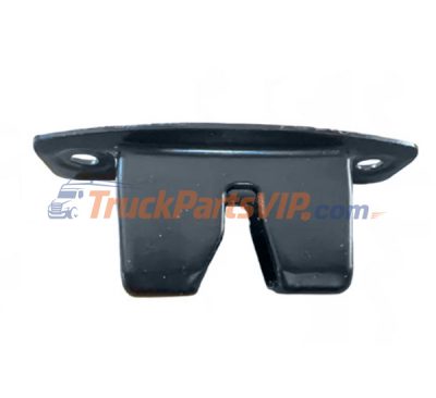 Rear Door Lower Latch Cover, 1054149-00-B, 1054149-00-G