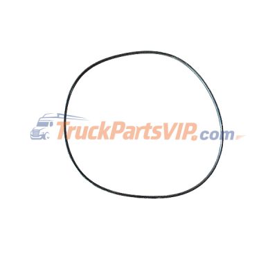ISM11 Diesel Engine Cylinder Rectangular Ring Seal, 3047188, 3047188X, 3034220, 3028308, 3803703, 3080760, K3803703, 4089478, 161245, DS-3047188, M-3047188