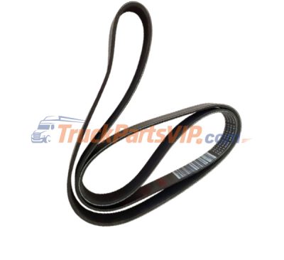 Fan Belt, 3979344, 3289930, 3288812, 3289974, 4983000, 3288475, 3972375, 3288999, 5260613, 5301401, 4940003