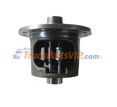 Limited Slip Differential, DANA 80754, 542070