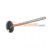 Exhaust Valve, 5256949, 5308265, 5712829, 3802967, 5256948, 5267979, C5256949, 3941293