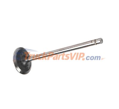 Exhaust Valve, 5256949, 5308265, 5712829, 3802967, 5256948, 5267979, C5256949, 3941293